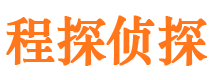 桃江侦探社